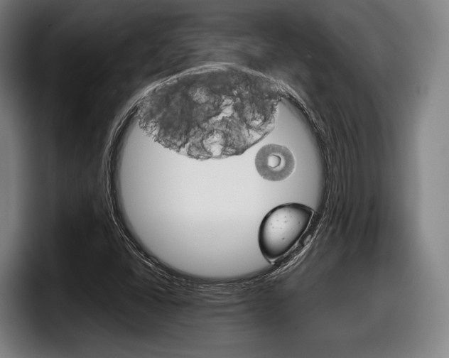 X0000098141406200804171110