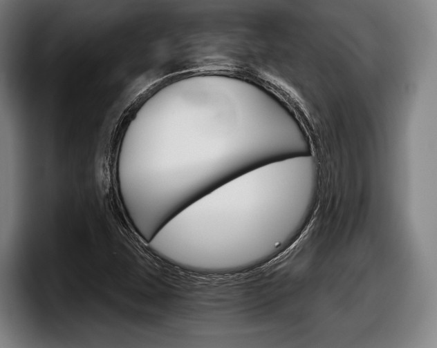 X0000098141407200804171110