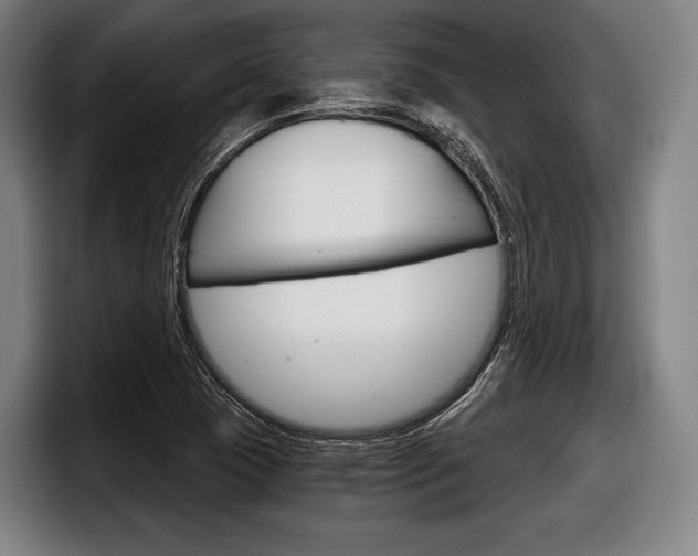 X0000098141409200804171110