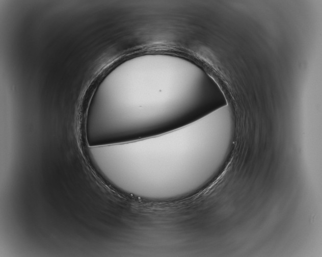X0000098141410200804171110
