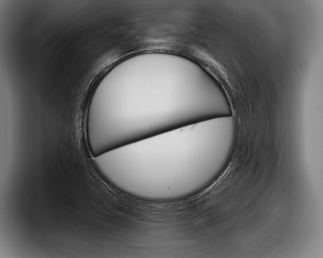 X0000098141411200804171110