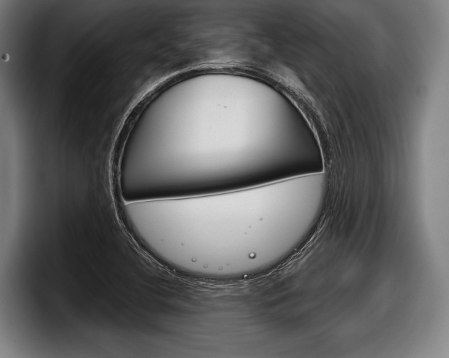 X0000098141412200804171110