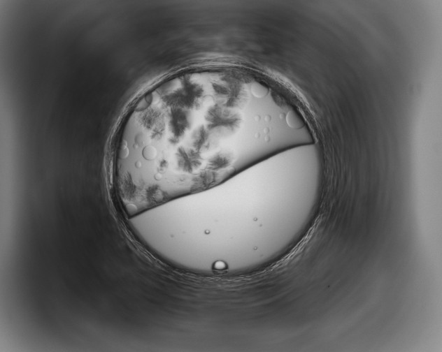 X0000098141413200804171110