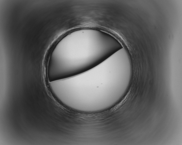 X0000098141414200804171110