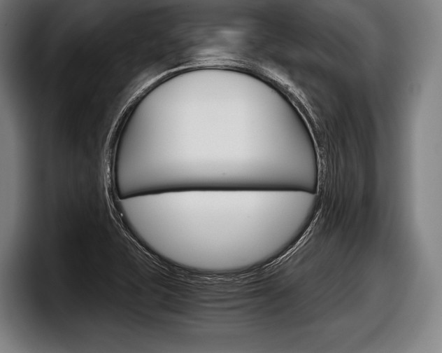 X0000098141415200804171110