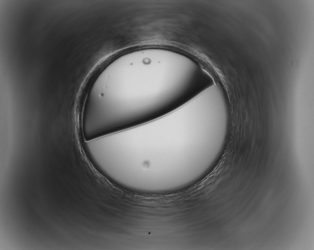 X0000098141416200804171110