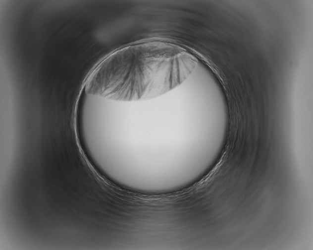 X0000098141418200804171110
