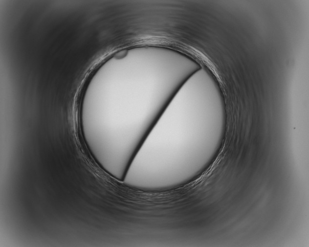 X0000098141419200804171110