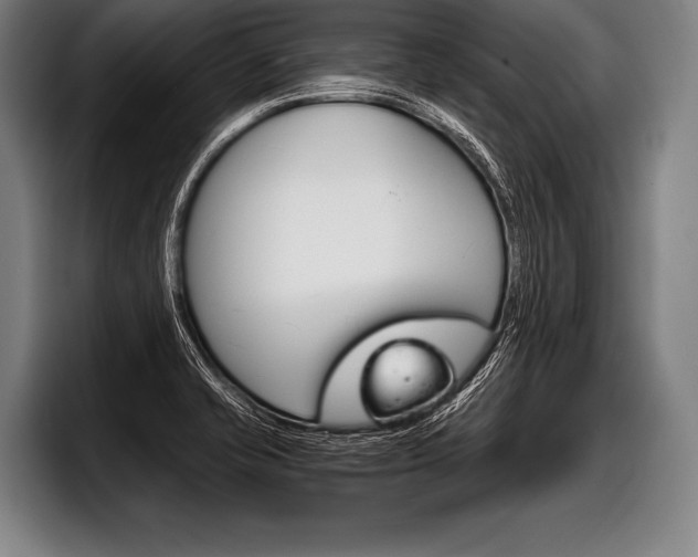 X0000098141421200804171110
