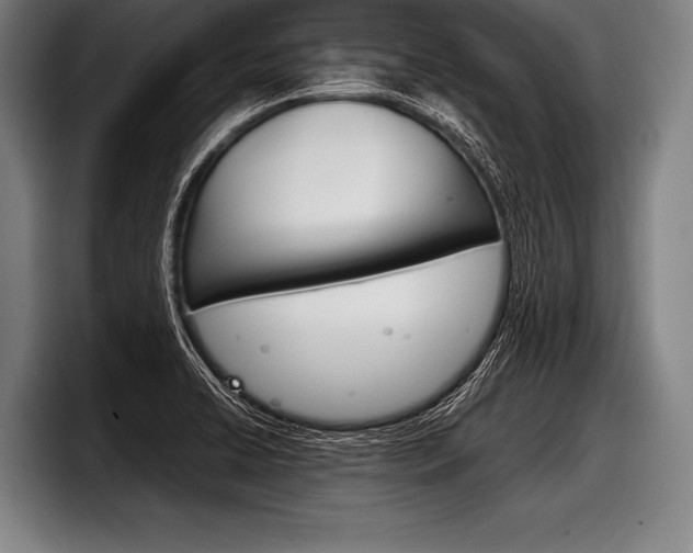 X0000098141422200804171110
