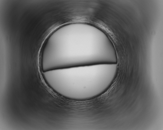 X0000098141423200804171110