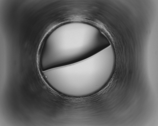 X0000098141424200804171110