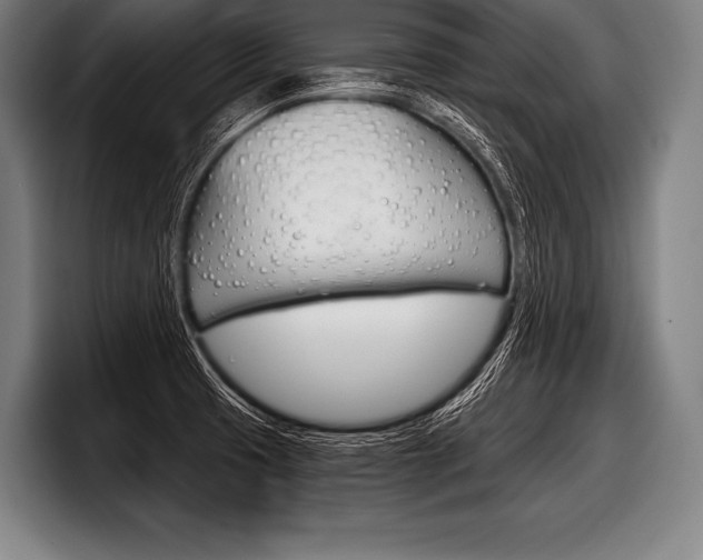 X0000098141425200804171110