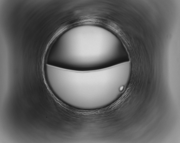 X0000098141426200804171110