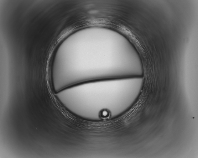 X0000098141427200804171110