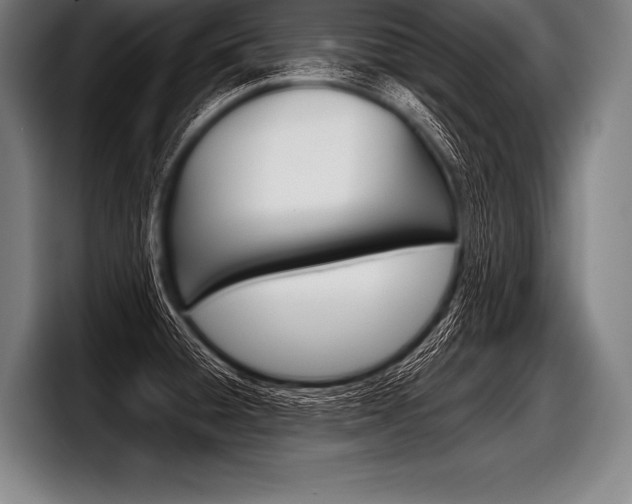 X0000098141428200804171110