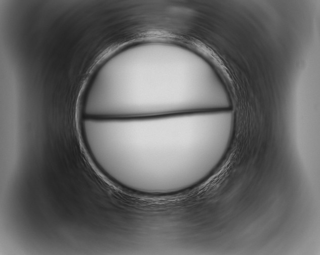 X0000098141429200804171110