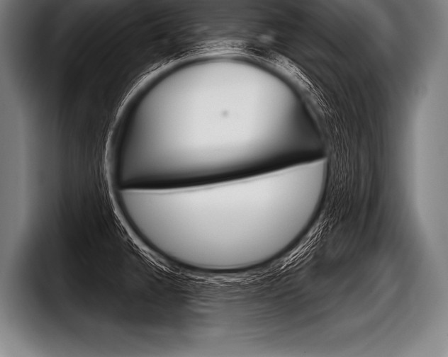 X0000098141430200804171110