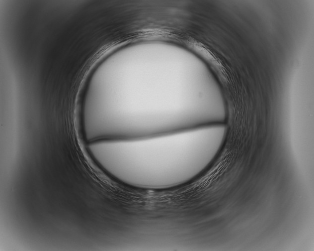 X0000098141431200804171110