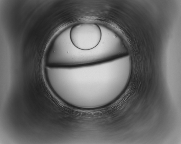 X0000098141432200804171110