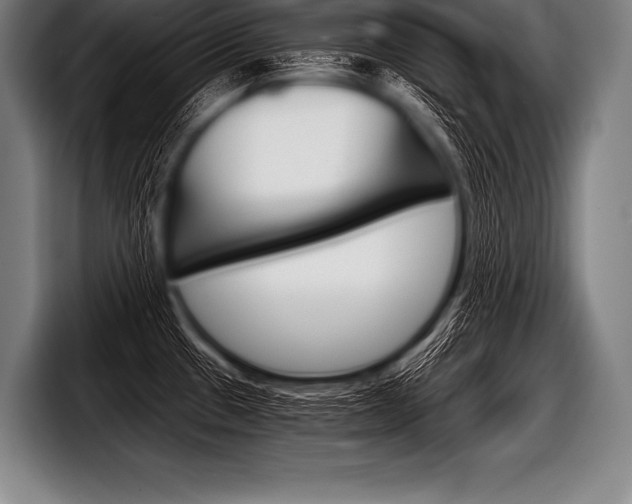 X0000098141433200804171110