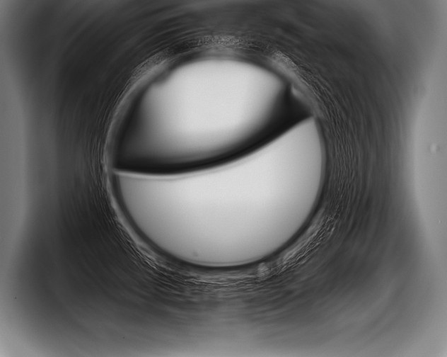 X0000098141434200804171110