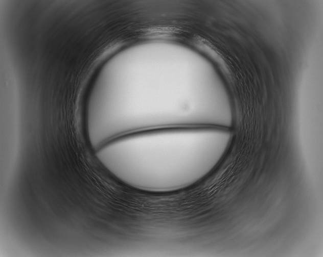 X0000098141435200804171110