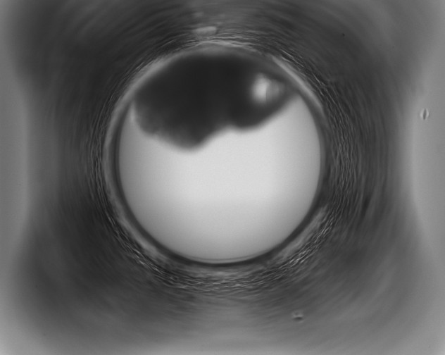 X0000098141437200804171111