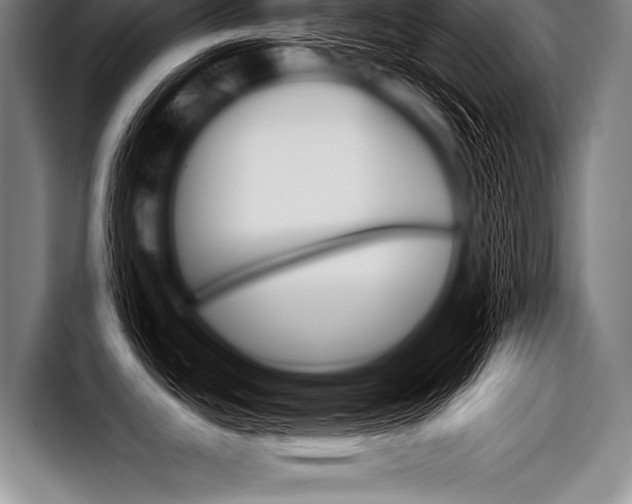 X0000098141439200804171111