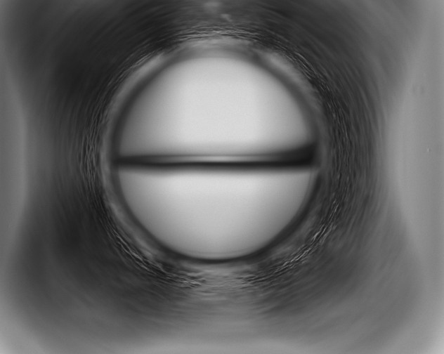 X0000098141440200804171111