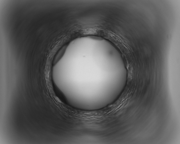 X0000098141441200804171110