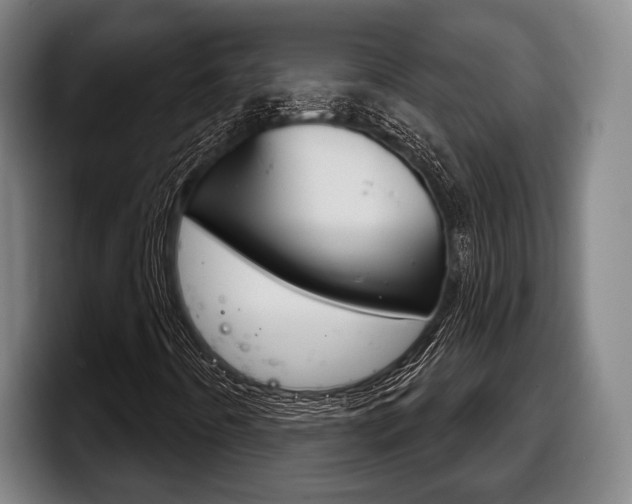 X0000098141442200804171110