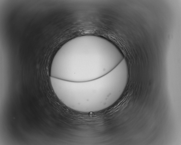 X0000098141443200804171110