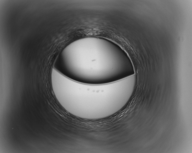 X0000098141444200804171110