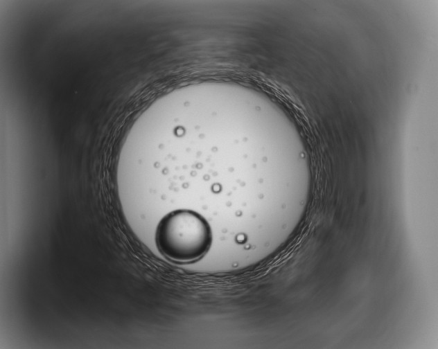 X0000098141445200804171110