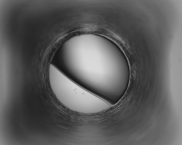 X0000098141448200804171110