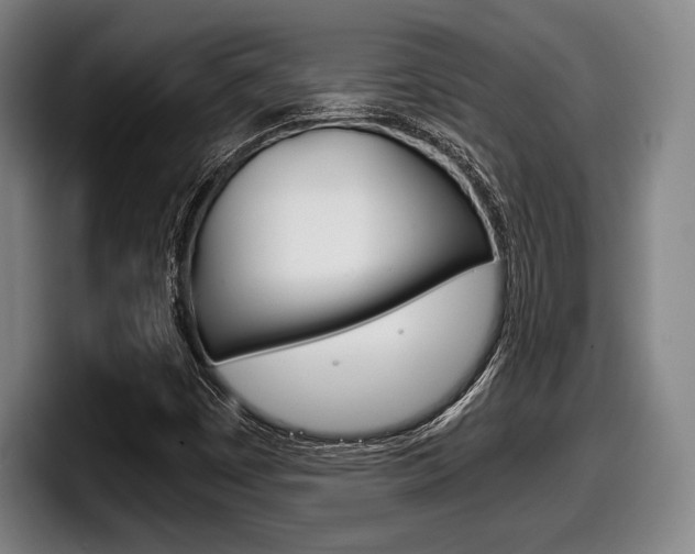 X0000098141449200804171110