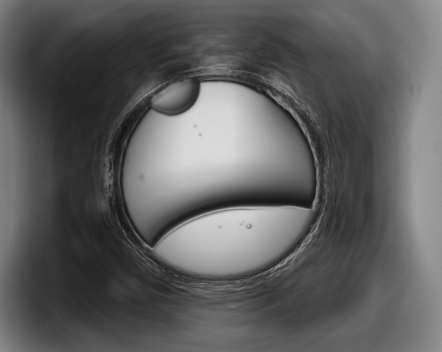 X0000098141450200804171110