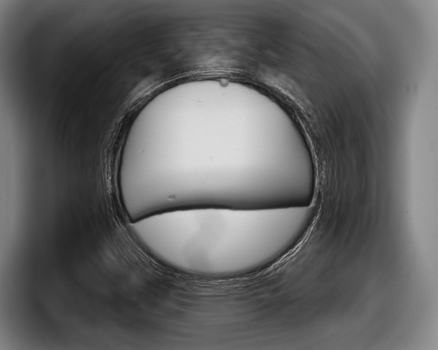 X0000098141451200804171110