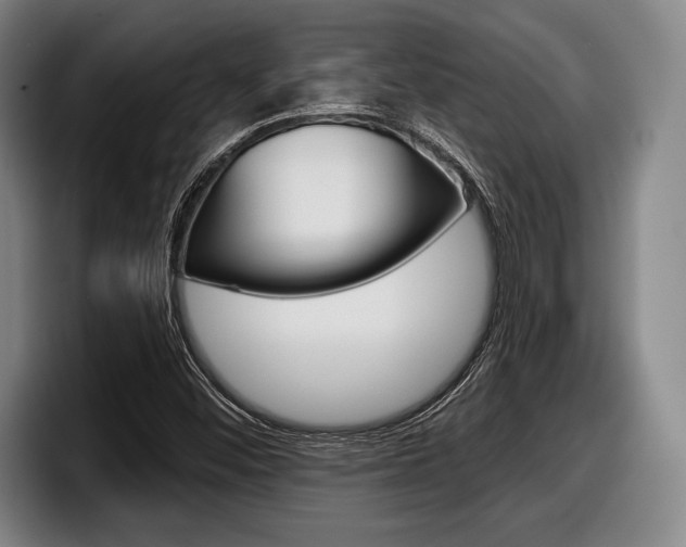 X0000098141452200804171110