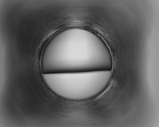 X0000098141453200804171110