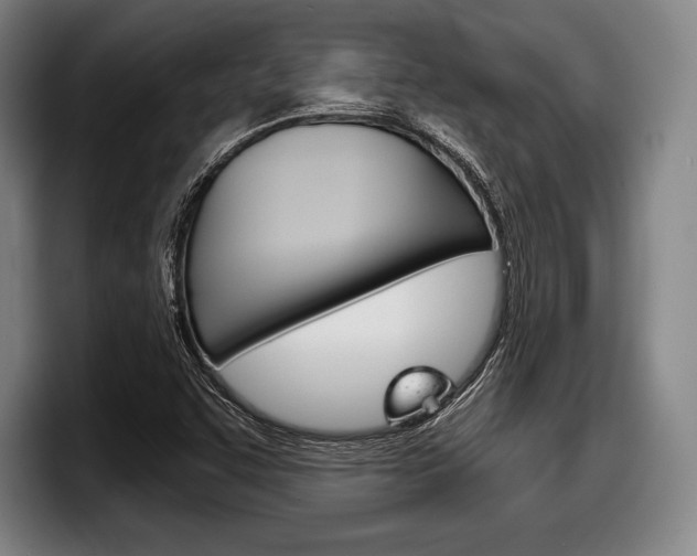X0000098141455200804171110
