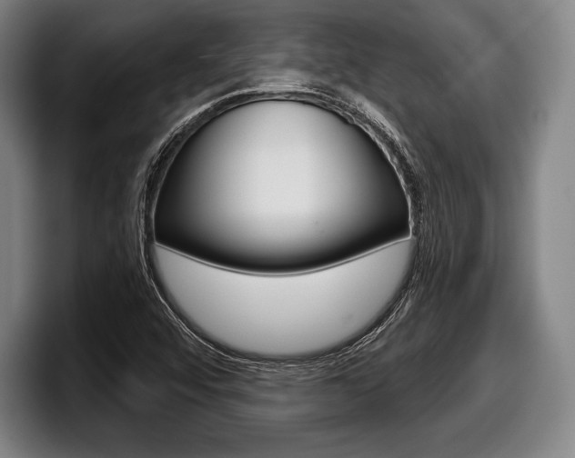 X0000098141456200804171110
