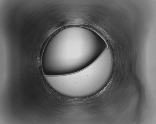 X0000098141457200804171110