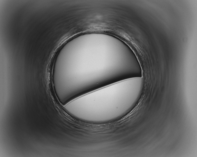 X0000098141459200804171110