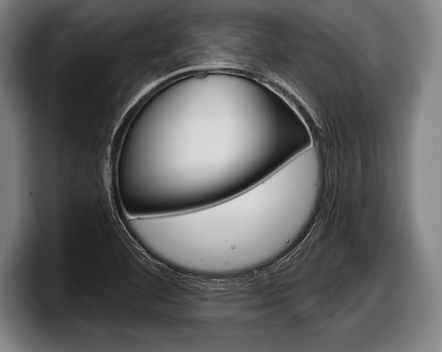 X0000098141460200804171110