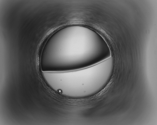 X0000098141461200804171110