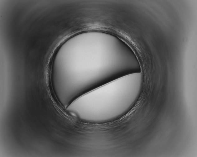 X0000098141463200804171110