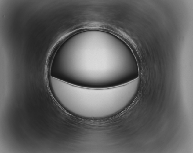 X0000098141464200804171110