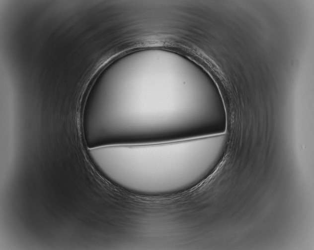 X0000098141465200804171110